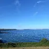 20220810_180624.webp 20220810_180624.webp