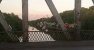 bridgeflowers.webp