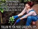 Gardening tips.webp