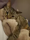 1662224110709.jpeg
