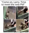 305157581_3285944141690463_8918060726161320246_n.webp