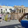 20220908_104006.webp