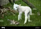 1663325190555.webp