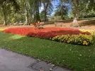 71D64847-2A2E-4E06-A1D5-C01AAA0BF4FA.webp