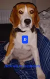 1663483479709.webp