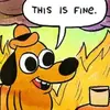 This-is-Fine-300x300.webp