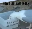 gun laws.webp