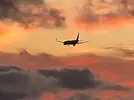 20221003_194408.webp