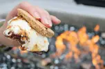 CampfireSmores1.webp