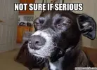 images.webp images.webp
