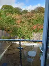 20221024_105130.webp