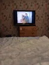 20221027_203433.webp