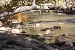 2020-Aug-30 093.webp 2020-Aug-30 093.webp