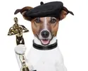 image.webp