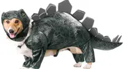 stegosaurus_dog_costume_dino_gift.webp