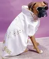 101879763_hound-dog-elvis-pet-costume-ebay.webp