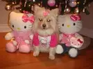 image.webp