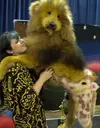 lion.webp