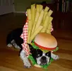 images.webp