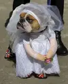 abito-da-sposa.webp
