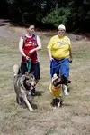 images.webp