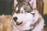 image.webp image.webp