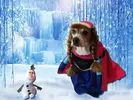 frozen-dog.webp