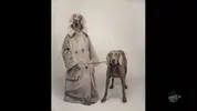 William-Wegman-Dog-Portrait.webp