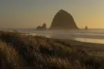 beach-g031d49431_1920.webp
