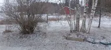 1668579729045.jpg