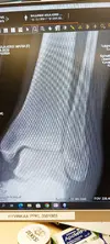 1668792095389.jpg
