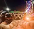1668881623870.webp