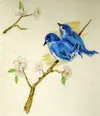 1 Bluebirds.webp