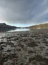 20221211_123408.webp