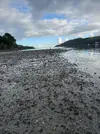 20221211_124242.webp