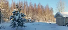 1671010591328.webp 1671010591328.webp