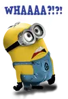 minion-question.webp