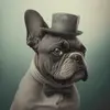 Johnnydawg_gray_french_bulldog_in_edwardian_style_a104cc2a-a411-4d03-b793-e189ebf29305.webp