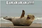 h80A01930.webp