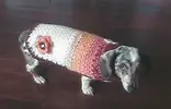 image.webp