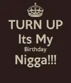 C__Data_Users_DefApps_AppData_INTERNETEXPLORER_Temp_Saved Images_turn-up-its-my-birthday-nigga.webp
