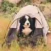 upload_2016-3-28_14-26-59.webp upload_2016-3-28_14-26-59.webp