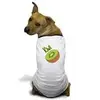 images.webp
