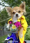 upload_2016-4-9_11-18-40.webp