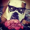 images.webp