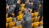 wolves-seat-liverpool-fan.webp