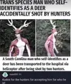  -Trans Deer.webp