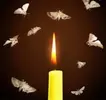 1679003282761.webp