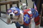 pawmicon-2015-04.webp