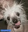 images.webp